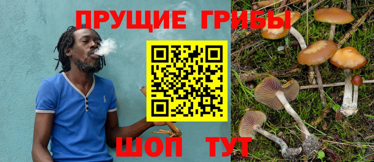 Дмитров  ГАШИШ  ГАШИШ  Каннабис  MDMA  МЕФ кристаллы  Вход с VPN  APVP СК  