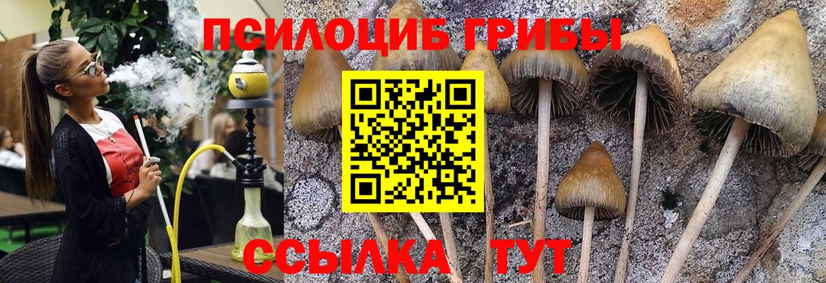 Галлюциногенные грибы MAGIC MUSHROOMS Дмитров