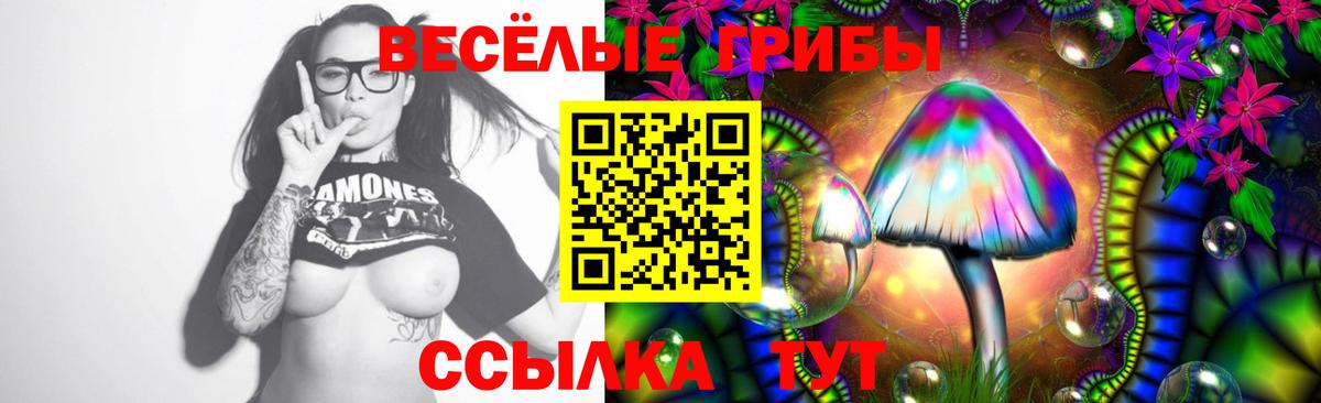 Дмитров  Псилоцибиновые грибы прущие грибы  Вход с VPN  Псилоцибиновые грибы Psilocybine cubensis 